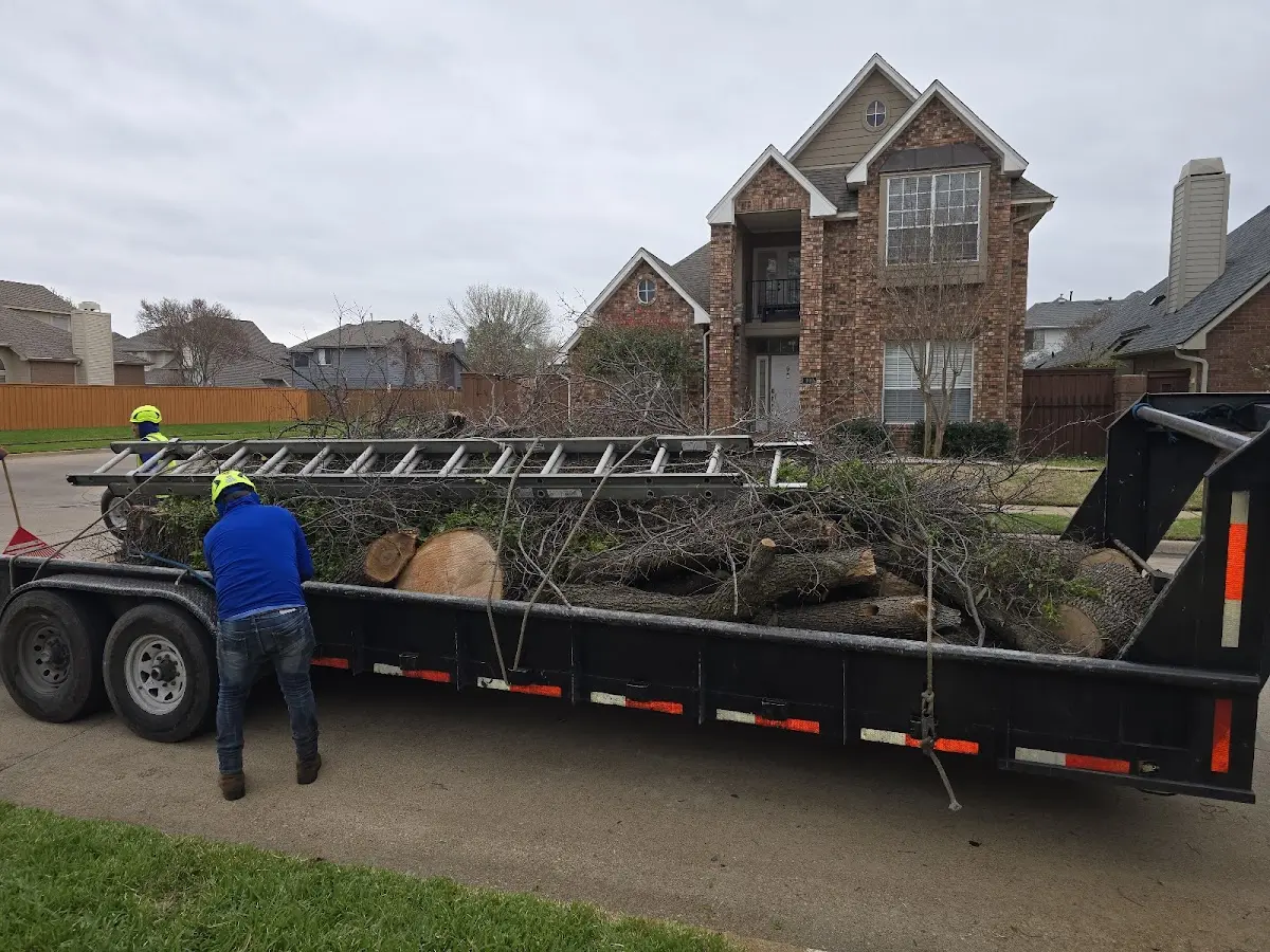 Expert Tree Fertilization with proper safety equipment in Wesco